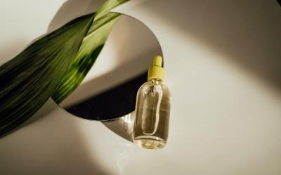 Usos y beneficios del aceite esencial de eucalipto